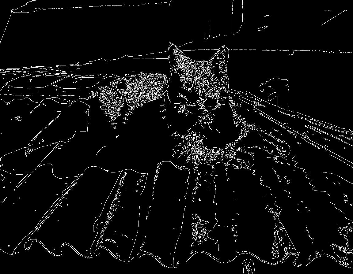 Control image (Canny edges)