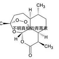 Jarvis's profile picture