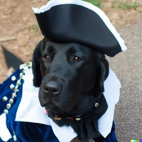 Sam Skjonsberg's profile picture