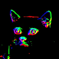 Ruben Gres's profile picture