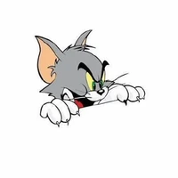 lv's profile picture