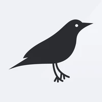 Robin Games's profile picture