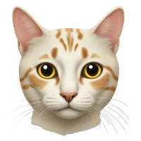 idle Huang's profile picture