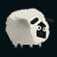 Junze Sun's profile picture