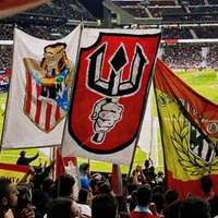 Javi Roman's profile picture