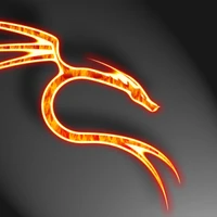 Yannick Dayer's profile picture