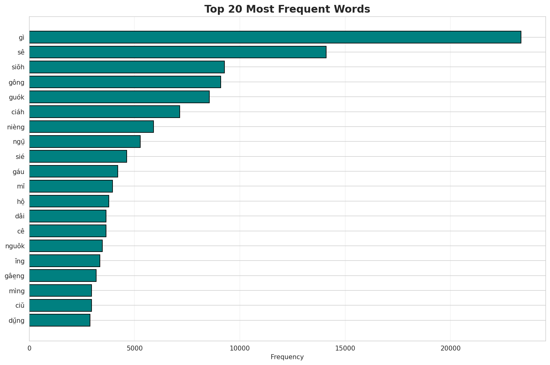 Top Words